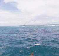 Great day of scuba diving in Key Largo with Rainbow Reef on snapper ledge tropical adventure 2019 09 29 r8794 1