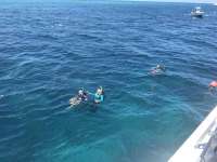 Great day of scuba diving in Key Largo with Rainbow Reef on spanish anchor tropical serenity 2019 09 06 r8752 1