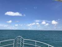 Great day of scuba diving in Key Largo with Rainbow Reef on spiegel grove tropical odyssey 2019 09 10 r8761 1