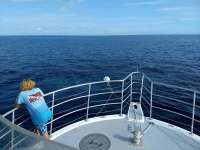 Great day of scuba diving in Key Largo with Rainbow Reef on spiegel grove tropical odyssey 2019 09 15 r8769 1