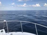 Great day of scuba diving in Key Largo with Rainbow Reef on uscgc duane tropical destiny 2019 09 07 r8754 1