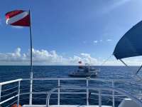 Great day of scuba diving in Key Largo with Rainbow Reef on benwood wreck tropical adventure 2020 08 09 r9911 1