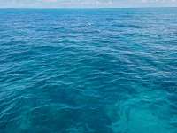 Great day of scuba diving in Key Largo with Rainbow Reef on christmastree cave tropical legend 2020 08 18 r9953 1