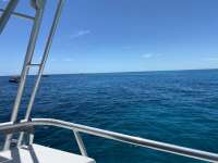 Great day of scuba diving in Key Largo with Rainbow Reef on city of washington tropical legend 2020 08 17 r9949 1