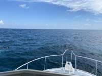 Great day of scuba diving in Key Largo with Rainbow Reef on conch ledge santana 2020 08 20 r9959 1