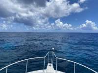 Great day of scuba diving in Key Largo with Rainbow Reef on eagle ray alley santana 2020 08 13 r9932 1