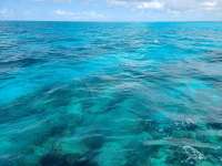 Great day of scuba diving in Key Largo with Rainbow Reef on fire coral cave tropical legend 2020 08 28 r9974 1