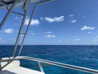 Great day of scuba diving in Key Largo with Rainbow Reef on french reef tropical odyssey 2020 08 07 r9903 1