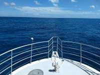 Great day of scuba diving in Key Largo with Rainbow Reef on french reef tropical odyssey 2020 08 15 r9938 1