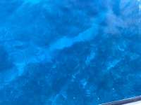 Great day of scuba diving in Key Largo with Rainbow Reef on molasses deep tropical explorer 2020 08 16 r9940 2