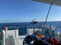 Great day of scuba diving in Key Largo with Rainbow Reef on molasses reef tropical explorer 2020 08 06 r9891 1