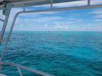 Great day of scuba diving in Key Largo with Rainbow Reef on molasses reef tropical serenity 2020 08 31 r9989 1