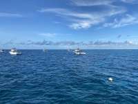 Great day of scuba diving in Key Largo with Rainbow Reef on molasses reef tropical voyager 2020 08 29 r9976 1