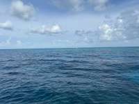 Great day of scuba diving in Key Largo with Rainbow Reef on north star santana 2020 08 20 r9956 1