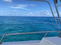 Great day of scuba diving in Key Largo with Rainbow Reef on pickles reef tropical serenity 2020 08 28 r9975 1
