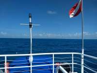 Great day of scuba diving in Key Largo with Rainbow Reef on snapper ledge tropical adventure 2020 08 07 r9900 1