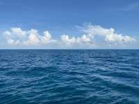 Great day of scuba diving in Key Largo with Rainbow Reef on snapper ledge tropical serenity 2020 08 04 r9868 1