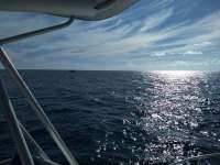 Great day of scuba diving in Key Largo with Rainbow Reef on spanish anchor tropical destiny 2020 08 12 r9923 1