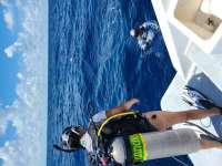 Great day of scuba diving in Key Largo with Rainbow Reef on spiegel grove tropical adventure 2020 08 13 r9934 1