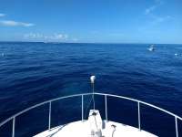Great day of scuba diving in Key Largo with Rainbow Reef on spiegel grove tropical destiny 2020 08 16 r9941 1