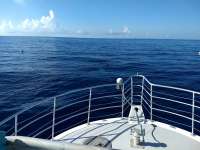 Great day of scuba diving in Key Largo with Rainbow Reef on spiegel grove tropical odyssey 2020 08 06 r9889 1
