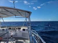 Great day of scuba diving in Key Largo with Rainbow Reef on spiegel grove tropical odyssey 2020 08 13 r9931 1