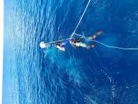 Great day of scuba diving in Key Largo with Rainbow Reef on spiegel grove tropical odyssey 2020 08 18 r9952 1