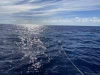 Great day of scuba diving in Key Largo with Rainbow Reef on spiegel grove tropical serenity 2020 08 12 r9924 1
