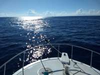 Great day of scuba diving in Key Largo with Rainbow Reef on uscgc duane tropical destiny 2020 08 11 r9917 1