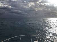 Great day of scuba diving in Key Largo with Rainbow Reef on benwood wreck tropical destiny 2020 12 04 r10365 1
