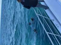 Great day of scuba diving in Key Largo with Rainbow Reef on benwood wreck tropical legend 2020 12 27 r10486 1