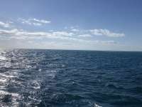 Great day of scuba diving in Key Largo with Rainbow Reef on conch ledge santana 2020 12 08 r10382 1