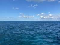 Great day of scuba diving in Key Largo with Rainbow Reef on conch ledge tropical legend 2020 12 19 r10432 1