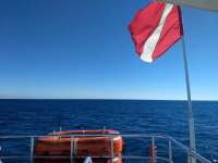 Great day of scuba diving in Key Largo with Rainbow Reef on conch ledge tropical legend 2020 12 26 r10481 1