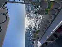 Great day of scuba diving in Key Largo with Rainbow Reef on conch wall tropical odyssey 2020 12 09 r10388 1