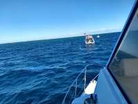 Great day of scuba diving in Key Largo with Rainbow Reef on drift molasses tropical voyager 2020 12 27 r10489 1