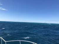 Great day of scuba diving in Key Largo with Rainbow Reef on eagle ray alley santana 2020 12 07 r10380 1