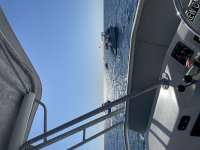 Great day of scuba diving in Key Largo with Rainbow Reef on eagle ray alley santana 2020 12 21 r10451 1