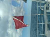 Great day of scuba diving in Key Largo with Rainbow Reef on eagle ray alley tropical destiny 2020 12 19 r10430 1