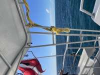 Great day of scuba diving in Key Largo with Rainbow Reef on eagle ray alley tropical destiny 2020 12 22 r10460 1