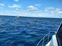 Great day of scuba diving in Key Largo with Rainbow Reef on eagle ray alley tropical voyager 2020 12 19 r10429 1
