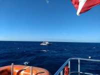 Great day of scuba diving in Key Largo with Rainbow Reef on french reef tropical legend 2020 12 22 r10458 1
