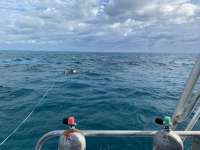 Great day of scuba diving in Key Largo with Rainbow Reef on molasses reef santana 2020 12 04 r10366 1