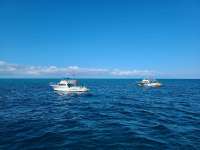 Great day of scuba diving in Key Largo with Rainbow Reef on molasses reef tropical destiny 2020 12 21 r10452 1