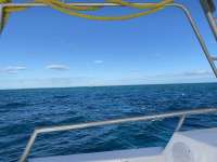 Great day of scuba diving in Key Largo with Rainbow Reef on molasses reef tropical legend 2020 12 19 r10424 1