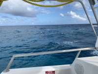 Great day of scuba diving in Key Largo with Rainbow Reef on molasses reef tropical legend 2020 12 24 r10472 1