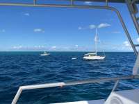 Great day of scuba diving in Key Largo with Rainbow Reef on molasses reef tropical odyssey 2020 12 27 r10492 1