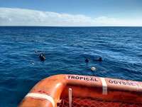 Great day of scuba diving in Key Largo with Rainbow Reef on sand island tropical odyssey 2020 12 10 r10392 1