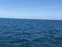 Great day of scuba diving in Key Largo with Rainbow Reef on snapper ledge tropical legend 2020 12 13 r10401 1