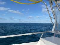 Great day of scuba diving in Key Largo with Rainbow Reef on snapper ledge tropical legend 2020 12 18 r10422 1